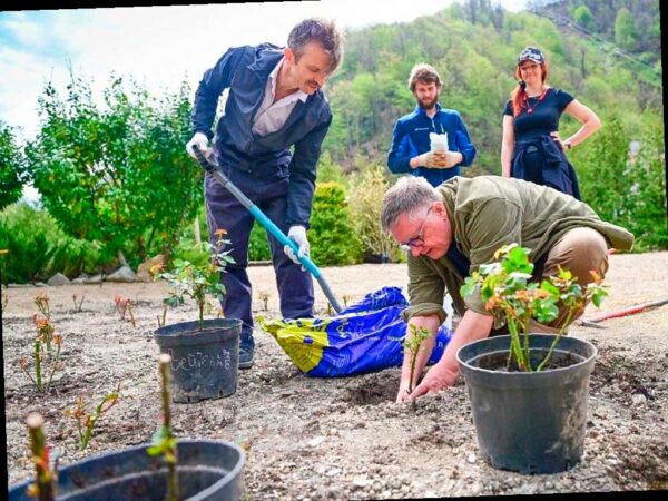 Уникальный сорт розы назван в честь горного курорта «Роза Хутор»