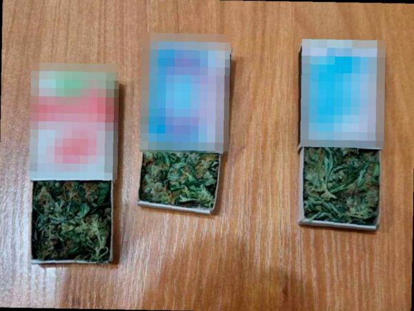 Задержан местный житель с наркотиками в Сочи
