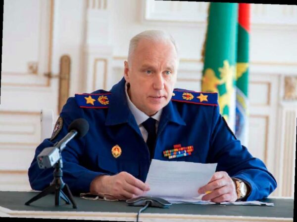 Бастрыкин занимается случаем нападения собаки на ребёнка в ЖК «Моравия» в Сочи