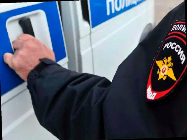 В Сочи разоблачена схема легализации мигрантов: организаторы могут попасть под стражу