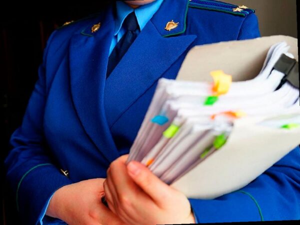 Прокуратура выявила нарушения в работе школы единоборств в Сочи