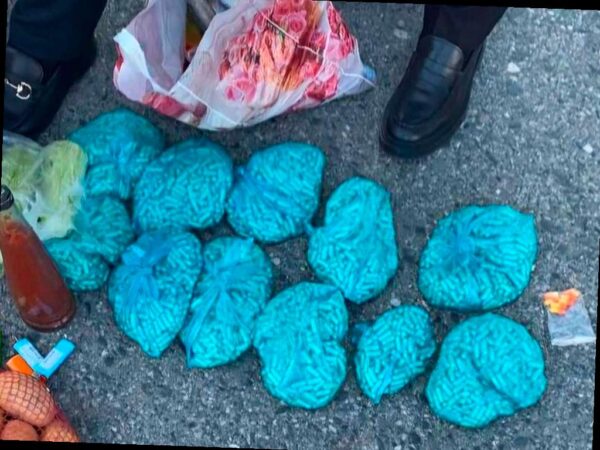 На границе с Абхазией задержали попытку провоза наркотиков