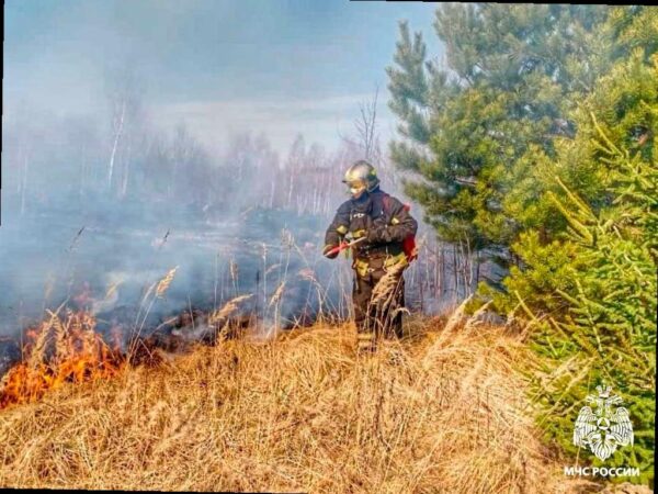 В Краснодарском крае временно ограничено посещение лесов