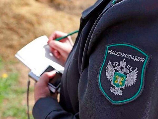 В Адыгее выявлены 7 зон распространения опасного сорняка
