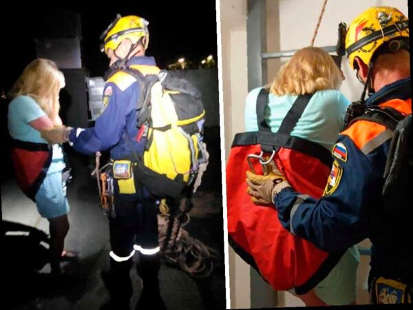 Женщина спасена после того, как застряла на крыше тринадцатиэтажного дома в поселке Дагомыс. Спасатели помогли ей спуститься, используя специальное снаряжение. После этого она была передана на медицинскую помощь.