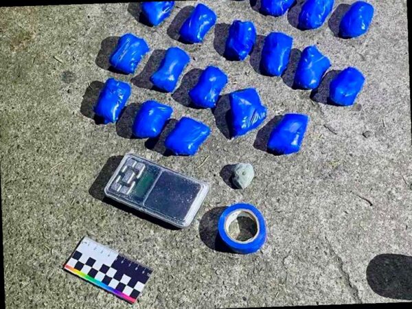Более 1,7 кг синтетических наркотиков изъяли у приезжего в Сочи