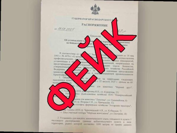 Оперштаб Кубани опровергает информацию о карантине по бешенству