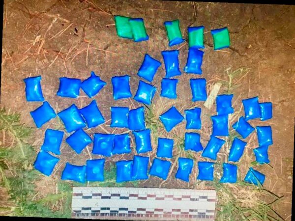 В Адлере задержали двух курьеров с крупной партией наркотиков