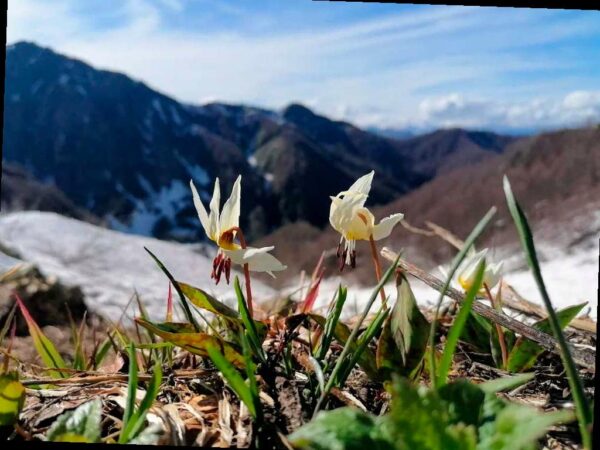 В Сочи откроется фотовыставка победителей конкурса «Четыре сезона красоты»
