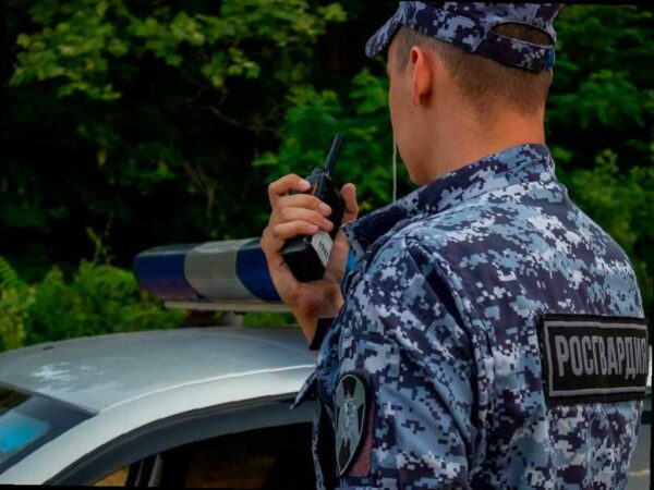Росгвардия помогла полиции задержать трех мужчин, которых разыскивали за кражи