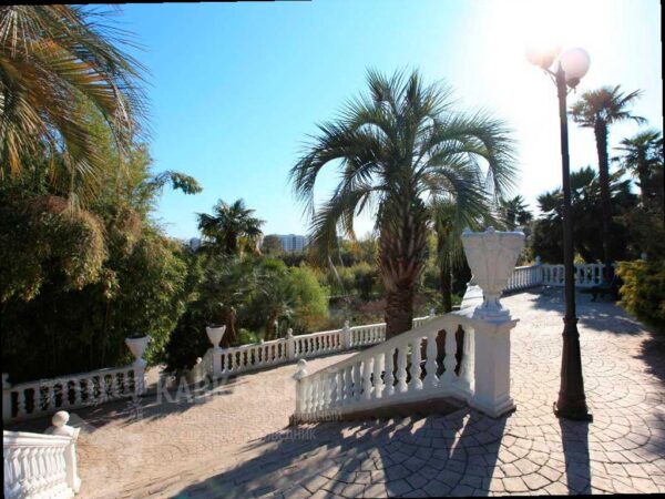 В парке «Южные культуры» в Сочи в этом году отмечается 115-летие. Празднование запланировано на завершение курортного сезона, сообщает пресс-служба Кавказского заповедника.