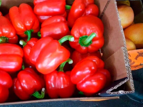 На Кубани обнаружено более 5 тонн зараженных овощей