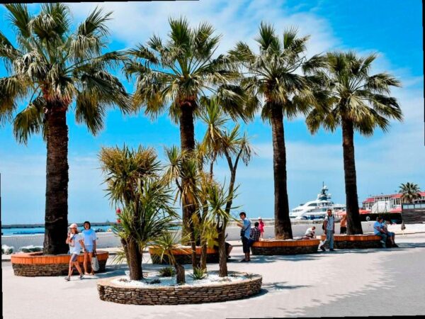 В Сочи собрали более 470 млн рублей туристического налога