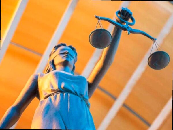 Жительницу Сочи оштрафовали на 10 миллионов рублей за вырубку растений на своем участке