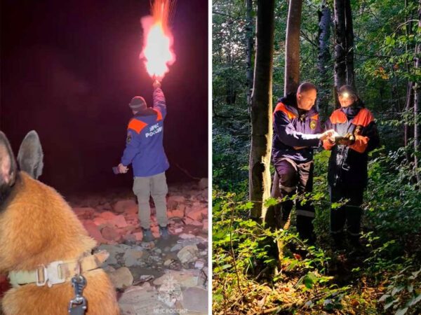 В лесу около Сочи найдена заблудившаяся пенсионерка