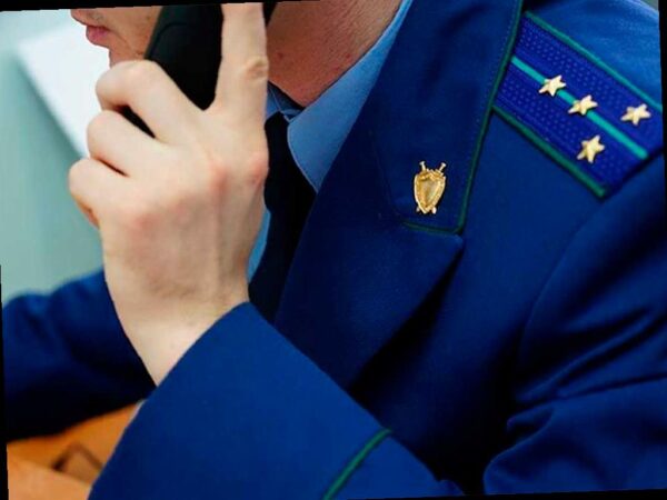 Прокуратура Сочи поможет защитить трудовые права граждан