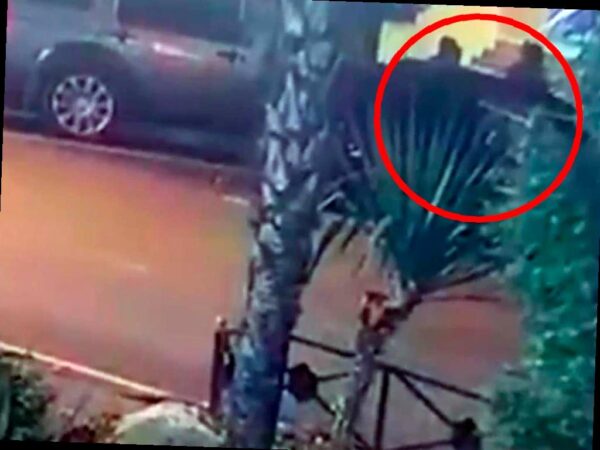 Пьяные гастролёры совершили кражу в Сочи