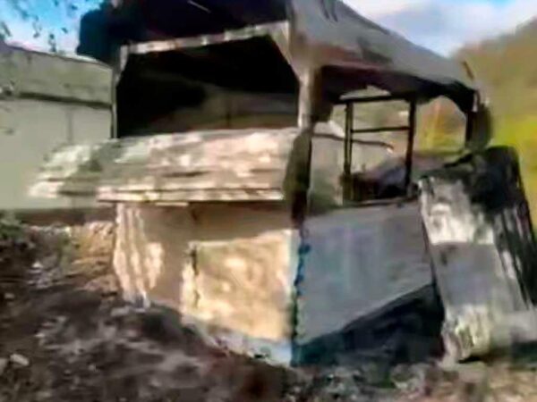 В Сочи неизвестные зажгли живьем двух собак