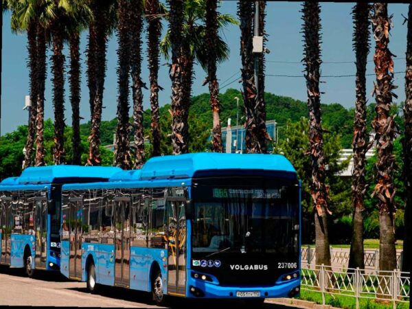 Изменение маршрутов автобусов в Сочи на время матча Россия — Чили