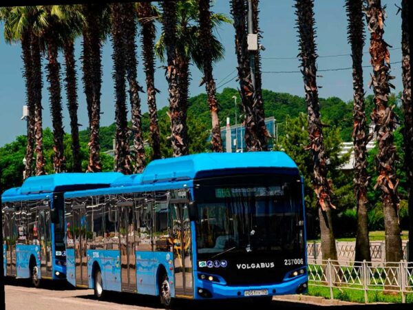 Вечерние автобусы в Сириусе для болельщиков матча