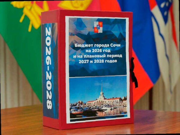 Андрей Прошунин: бюджет Сочи до 2028 года сохранит свою социальную направленность