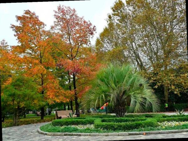 В Хосте открыли обновлённый парк 50 лет Победы