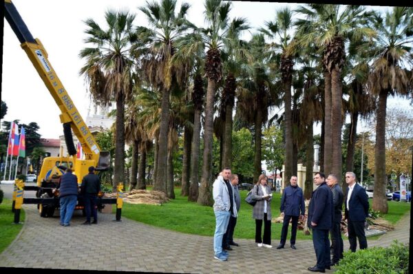 «Виктор Тепляков проверил сквер «Кооперативный»