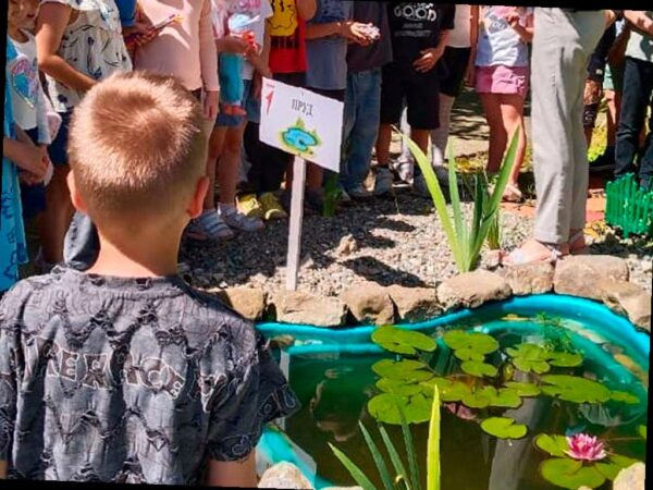 Три сочинские школы получат по 100 тысяч рублей на реализацию экопроектов