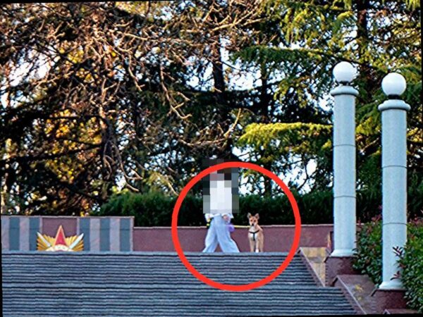 Депутат ЗСК Виктор Тепляков проверил мемориальный комплекс в Сочи