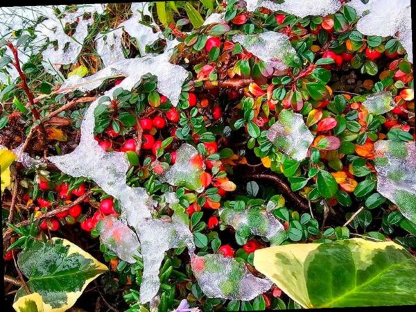 Сочи готовится к похолоданию