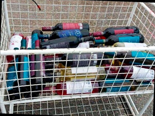 Сочинские таможенники изъяли алкоголь и сигареты у туриста из Абхазии