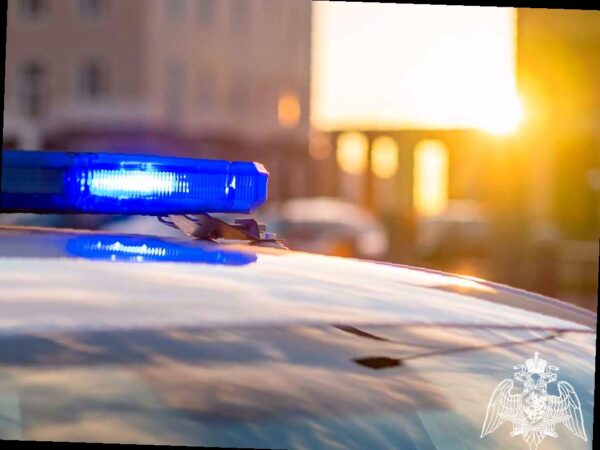 Подросток из Адлера зарезал мать и напал на брата