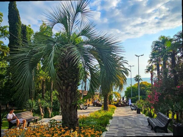 Рекордный турпоток в Сочи: 8 млн туристов в 2025 году