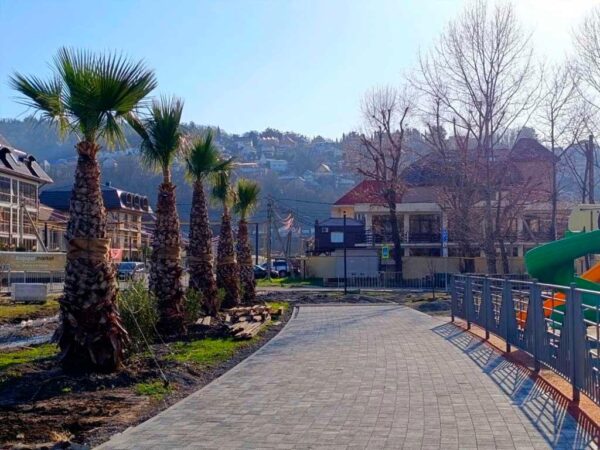 В сквере Тормахова в Сочи будет красиво к весне
