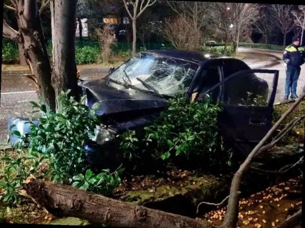 Подросток в Сочи попал в аварию, врезавшись в дерево