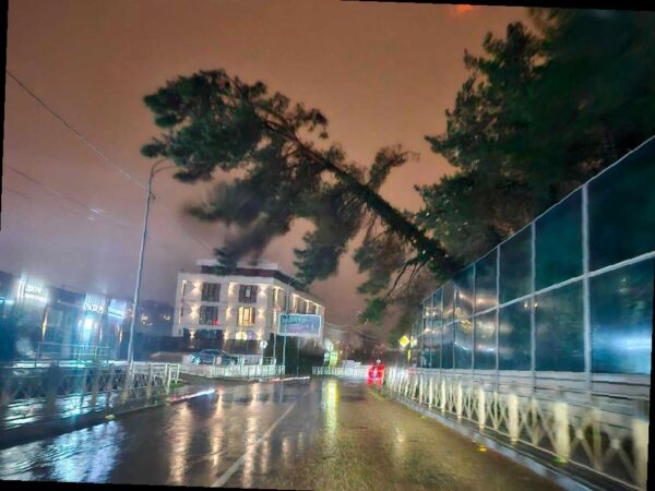 Справляемся с непогодой: убираем падающие деревья и разорванные провода