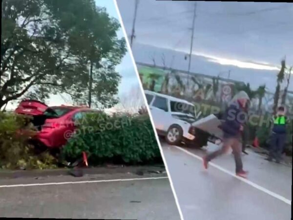 Столкновение легковушек в Адлере: одна из машин улетела в кусты