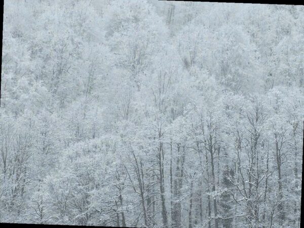 Сегодня в горах Сочи ожидается сильный снегопад