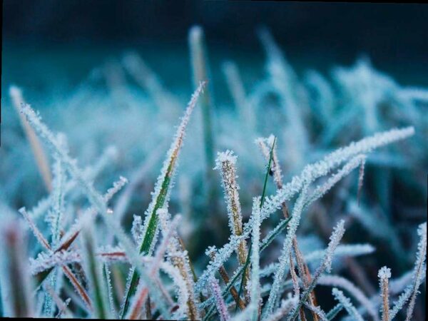 Шторм, снег и гололед: погода в Сочи на 26 февраля